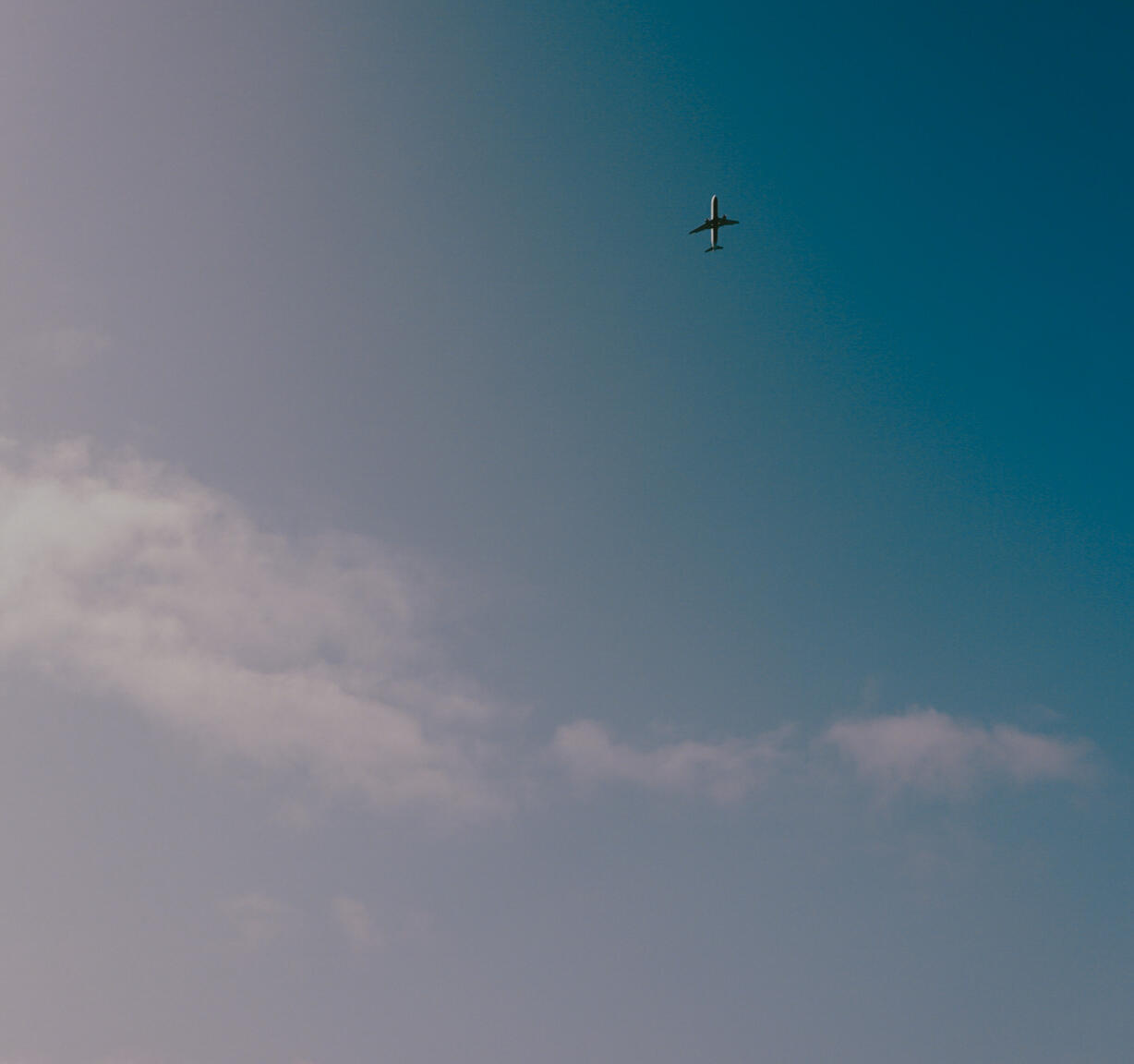 Gimme Shelter & Watermelon Tall Girls - Miracle Monocle